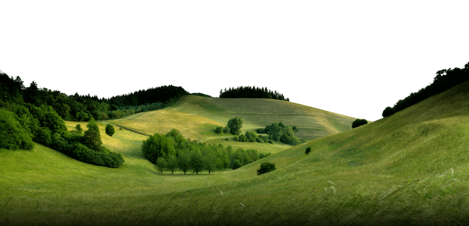 Grüne Landschaft